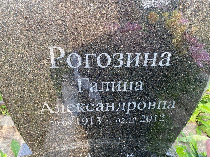 Рогозина