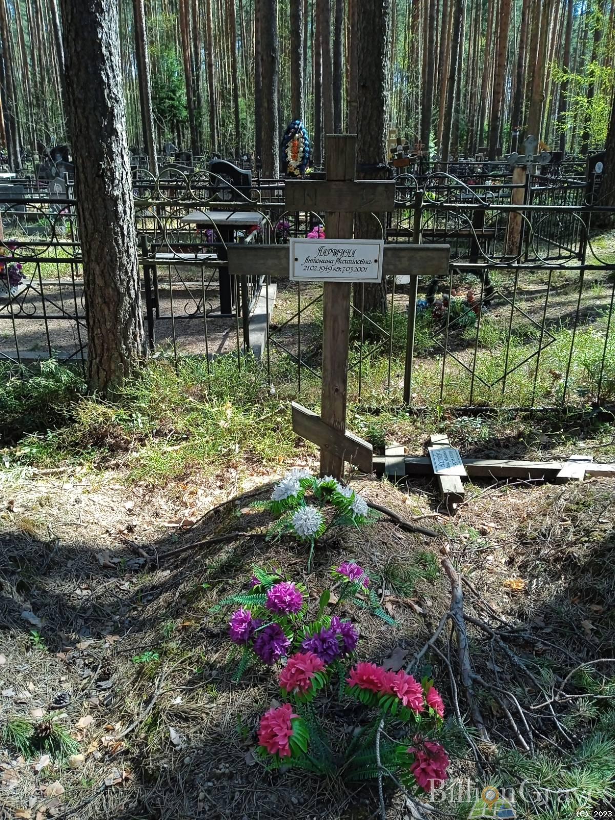 Паршина Антонина Михайловна