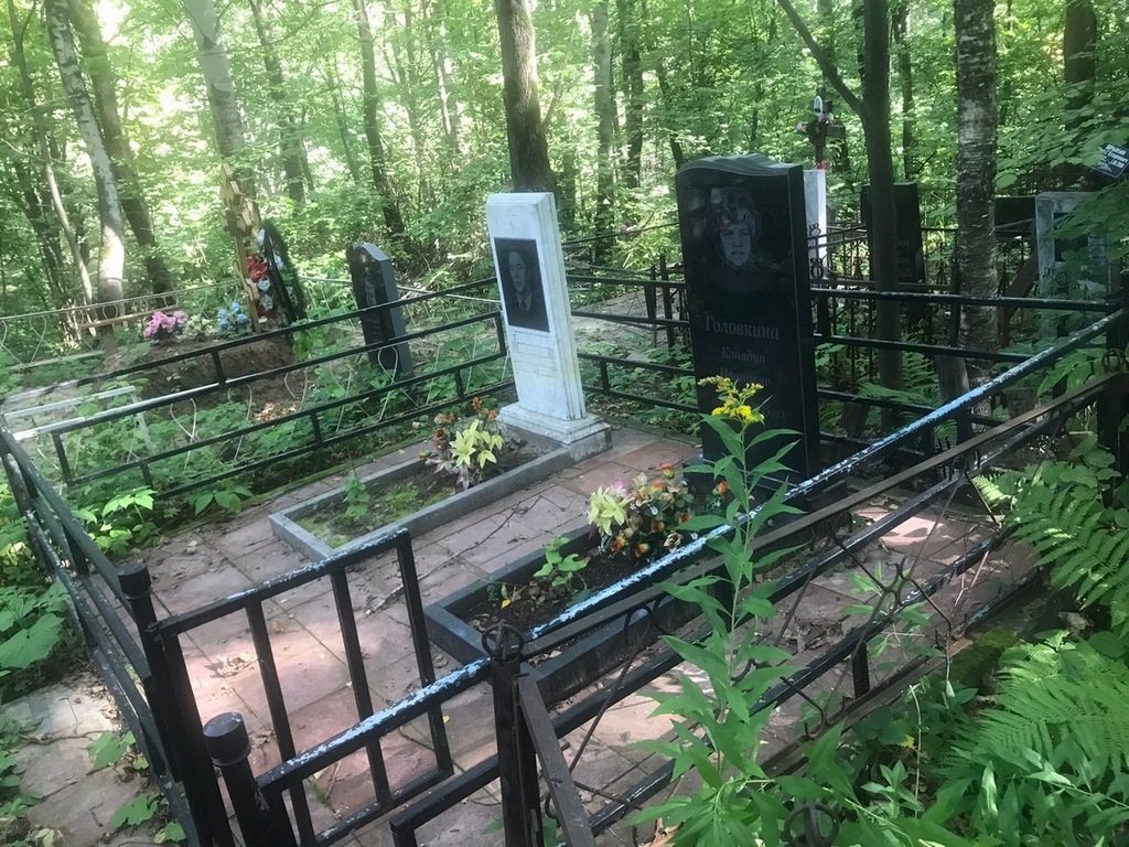 Головкин Александр Александрович