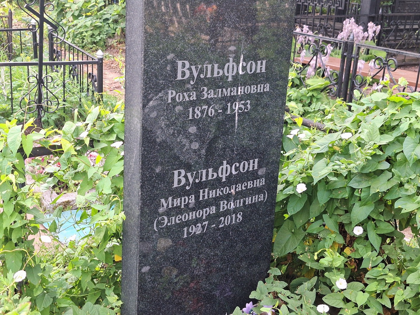 Роха Вульфсон Залмановна