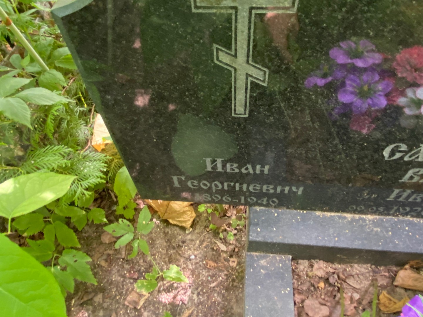 Савельев