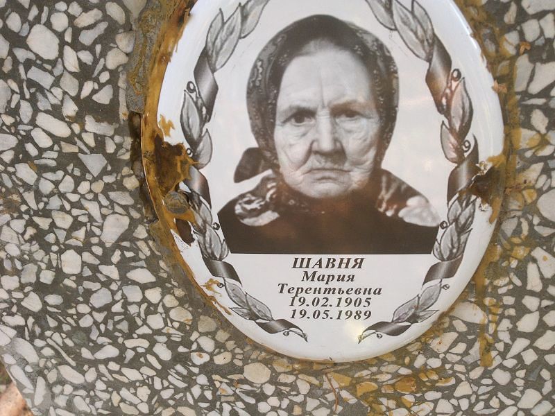 Шавня