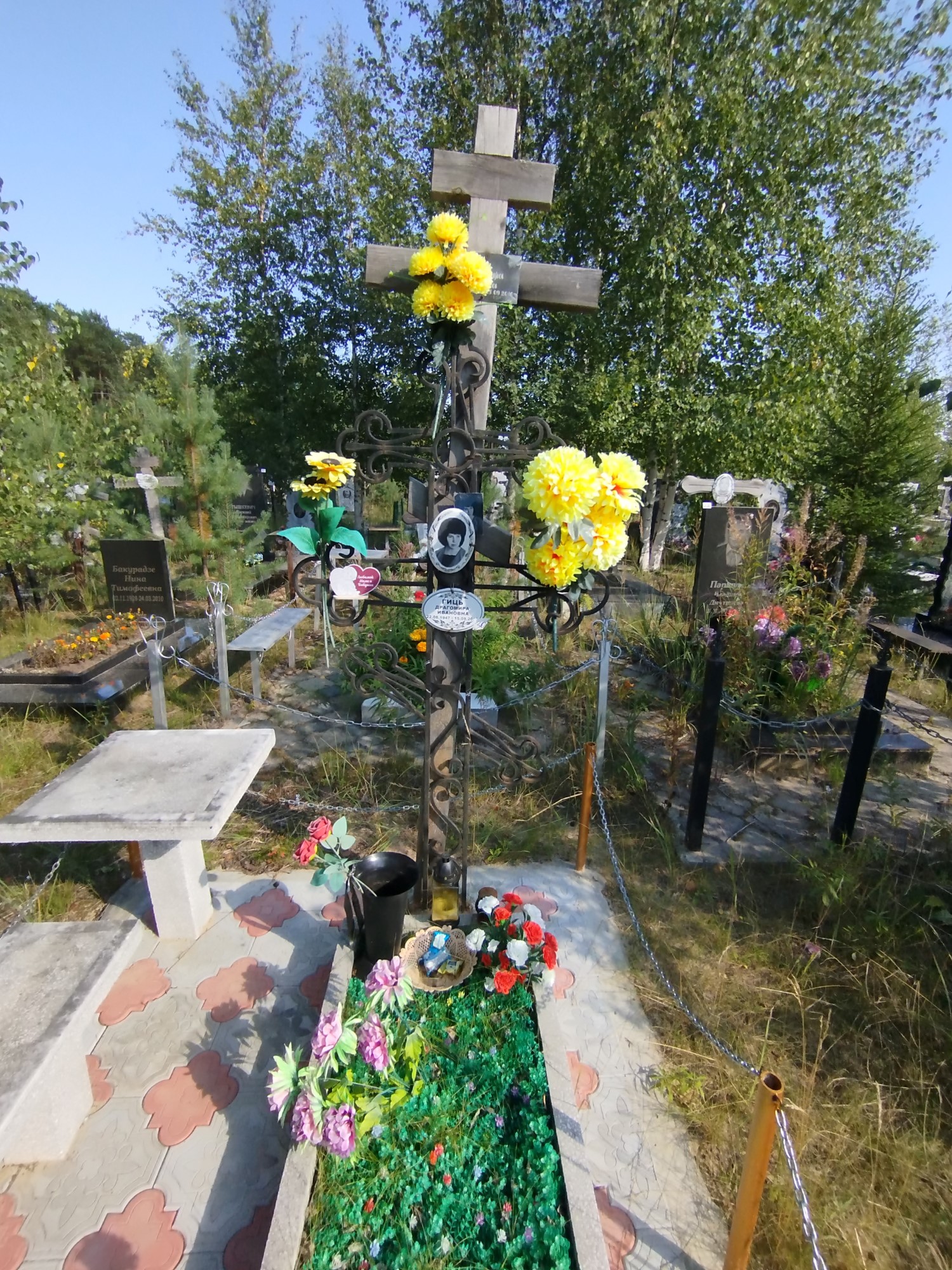 Гиць Драгомира Ивановна
