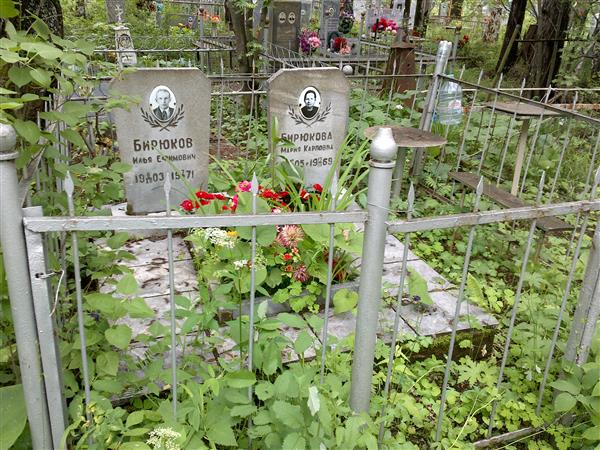 Бирюков Илья Ефимович