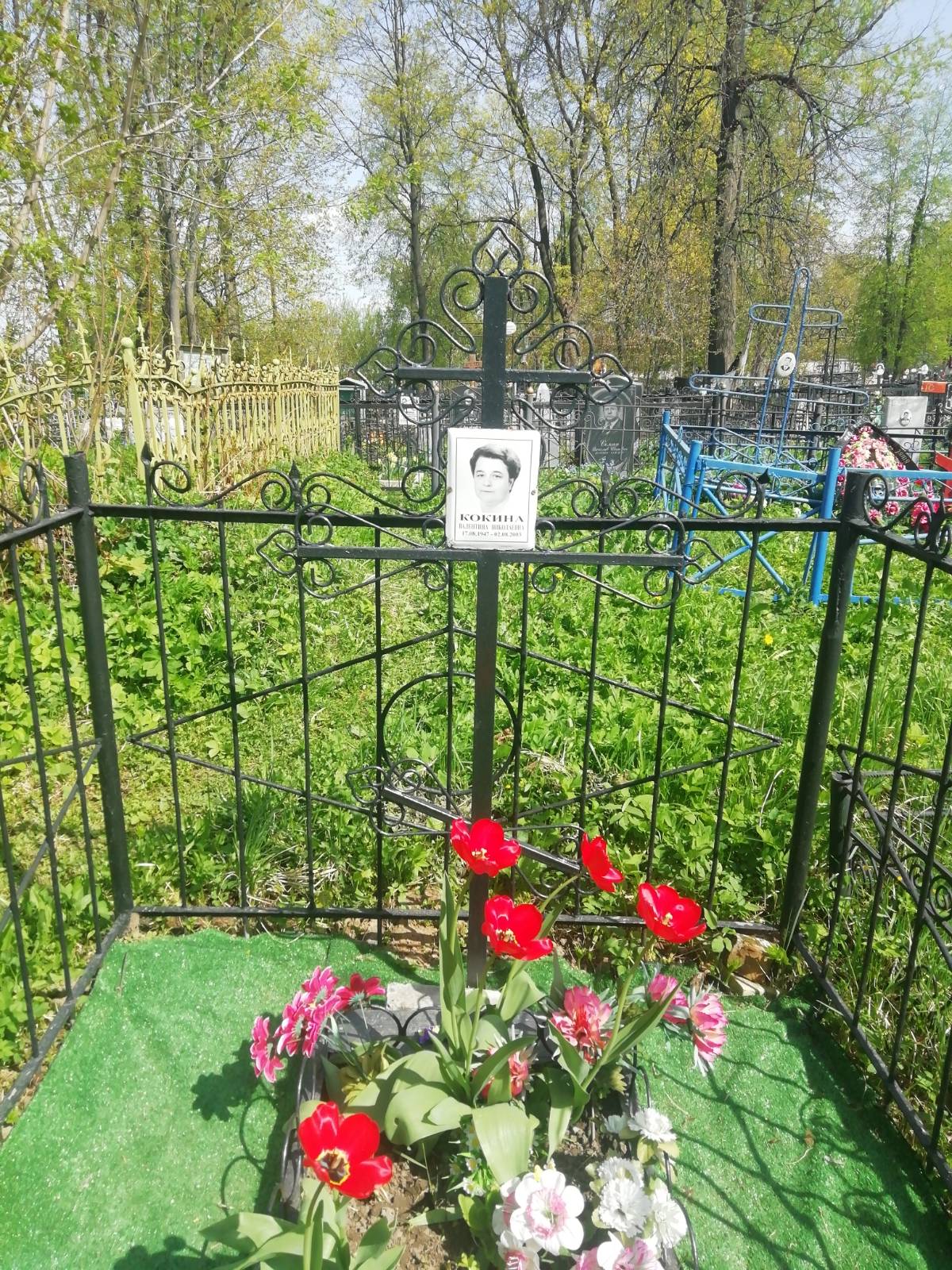 Кокина Валентина Николаевна
