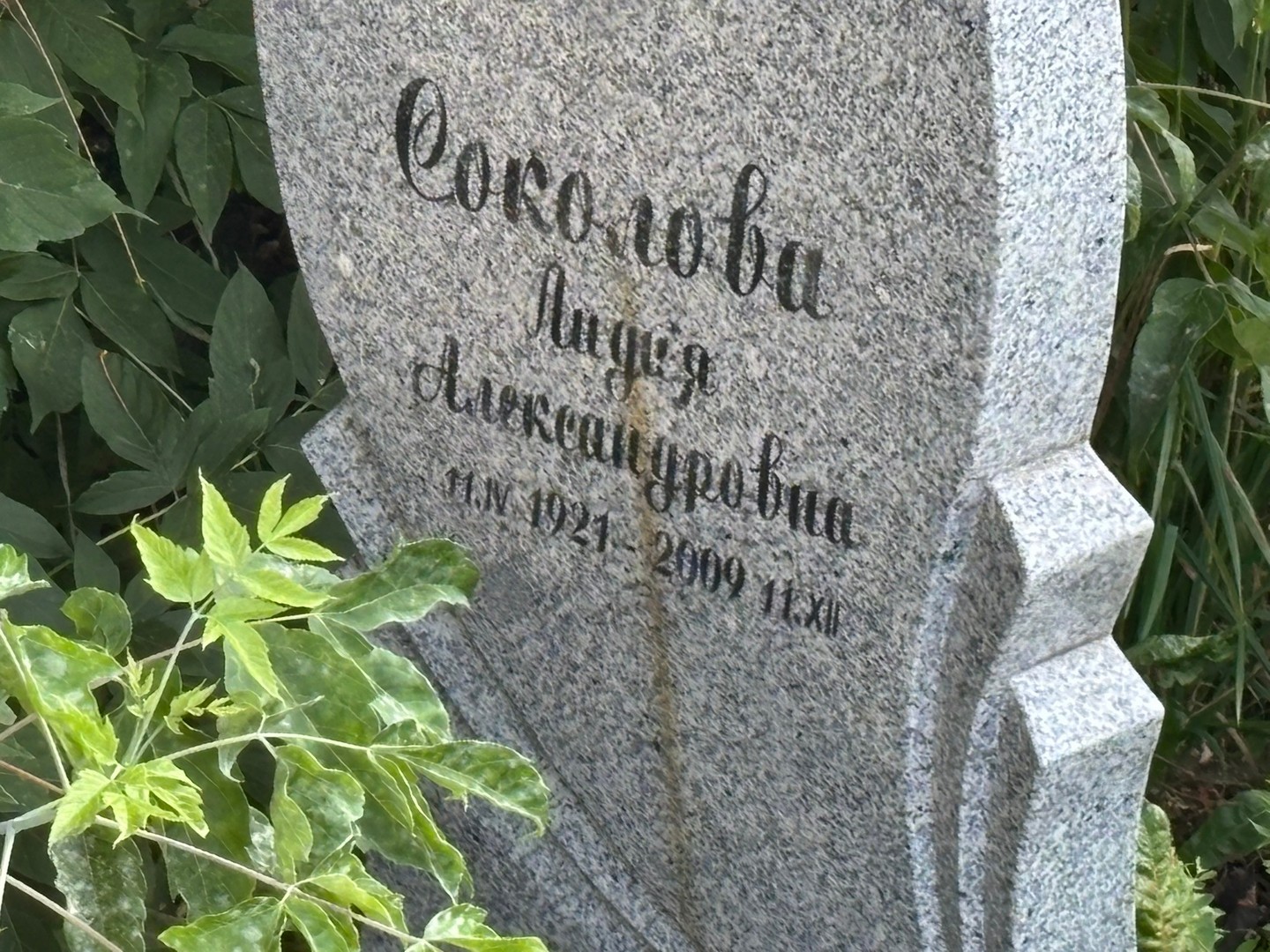 Соколова
