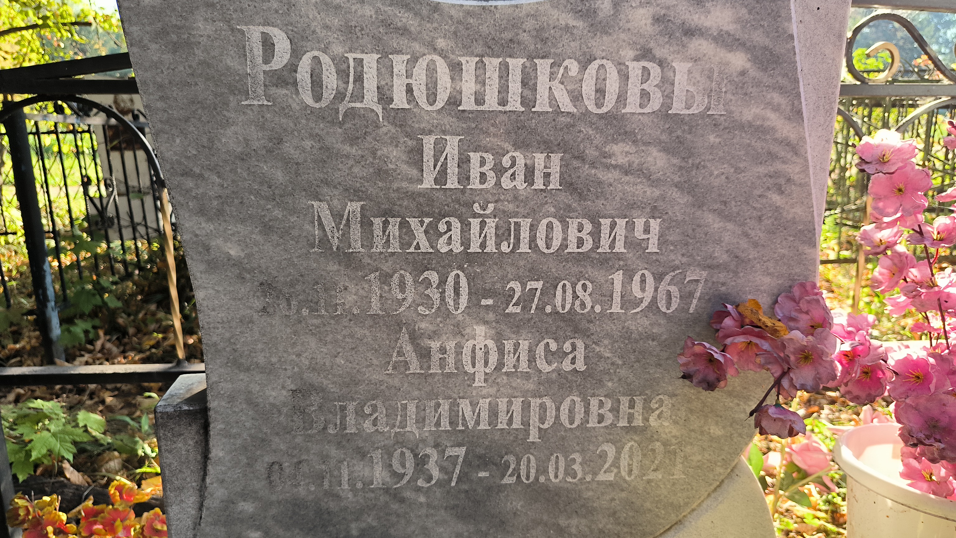 Родюшкова Анфиса Владимировна