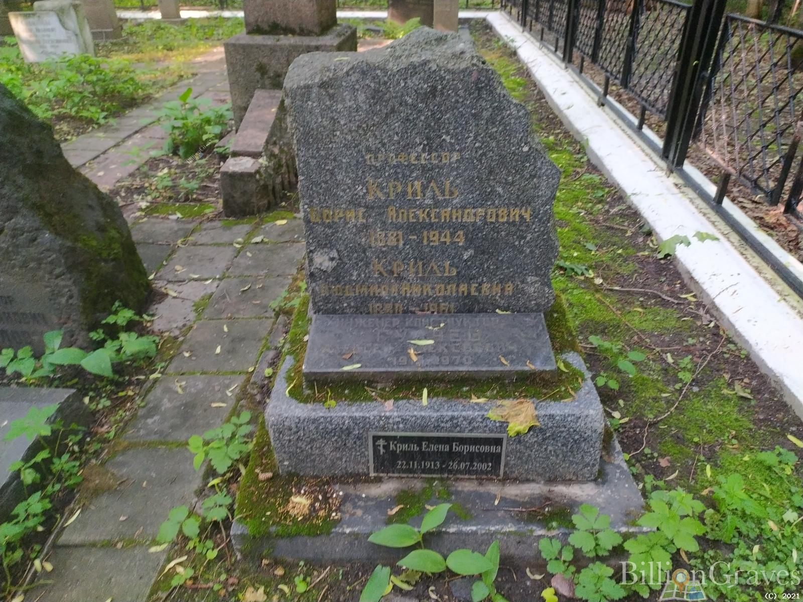 Криль Елена Борисовна