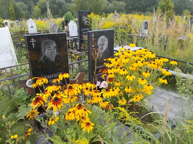 Ромашов Петр Алексеевич