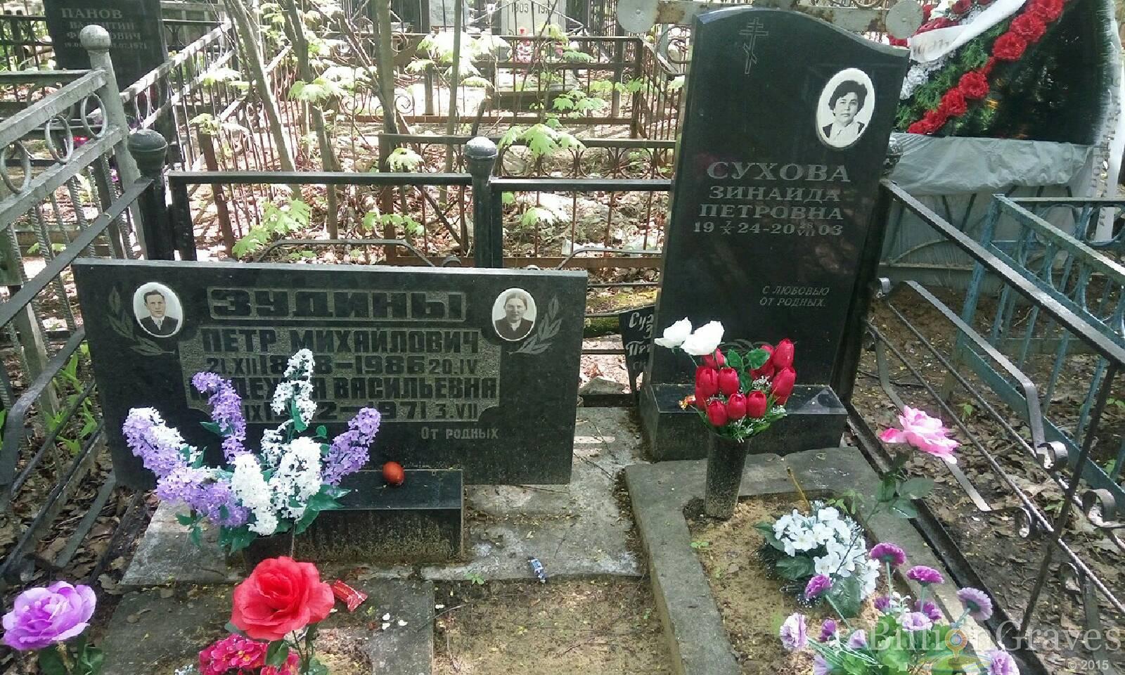 зудин петр михайлович