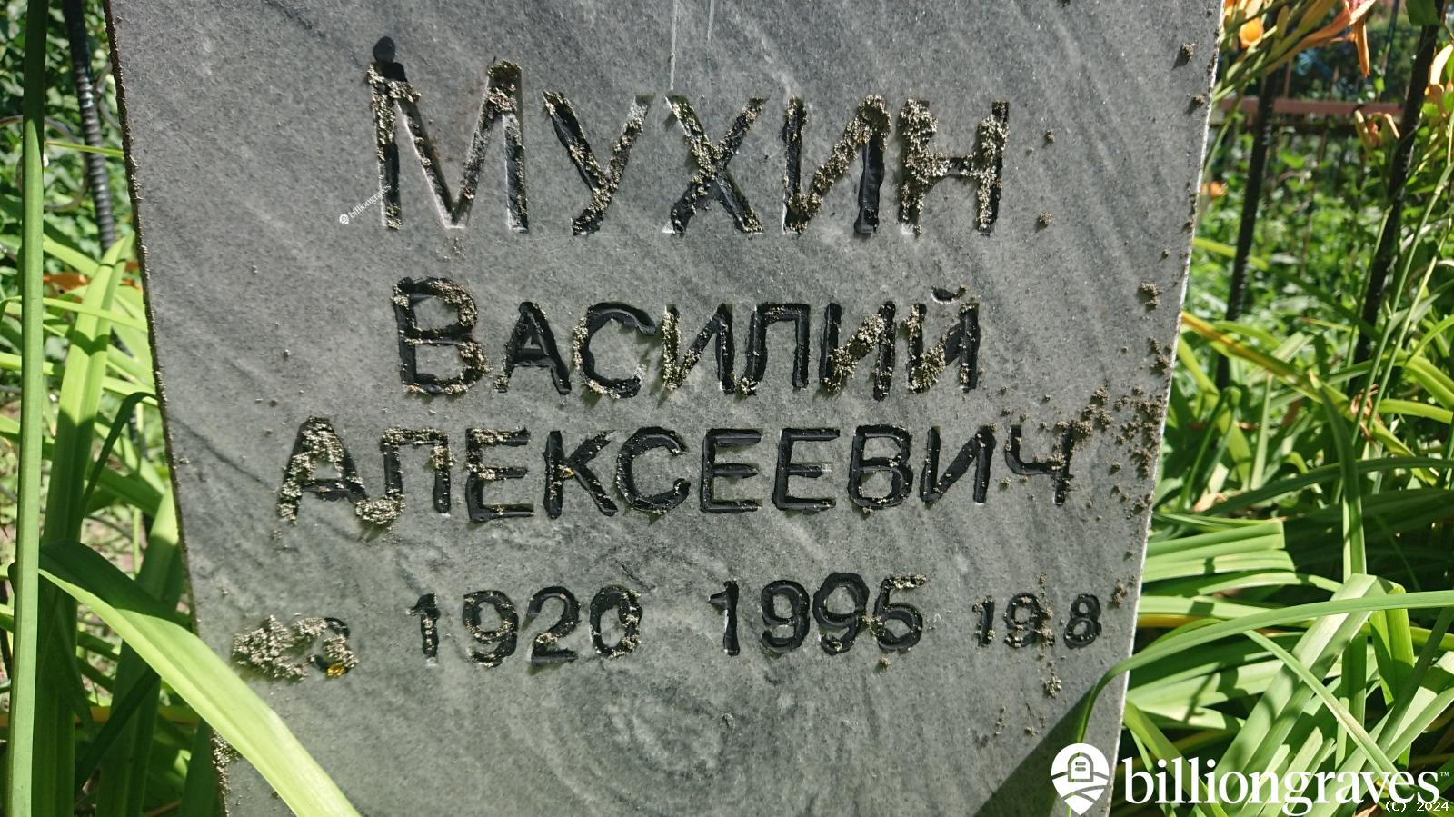 Мухина Евдокия Дмитриевна