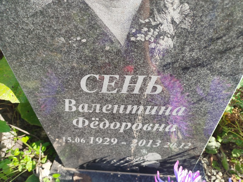 Сень