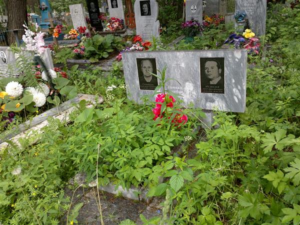 Медведев Пётр Михайлович