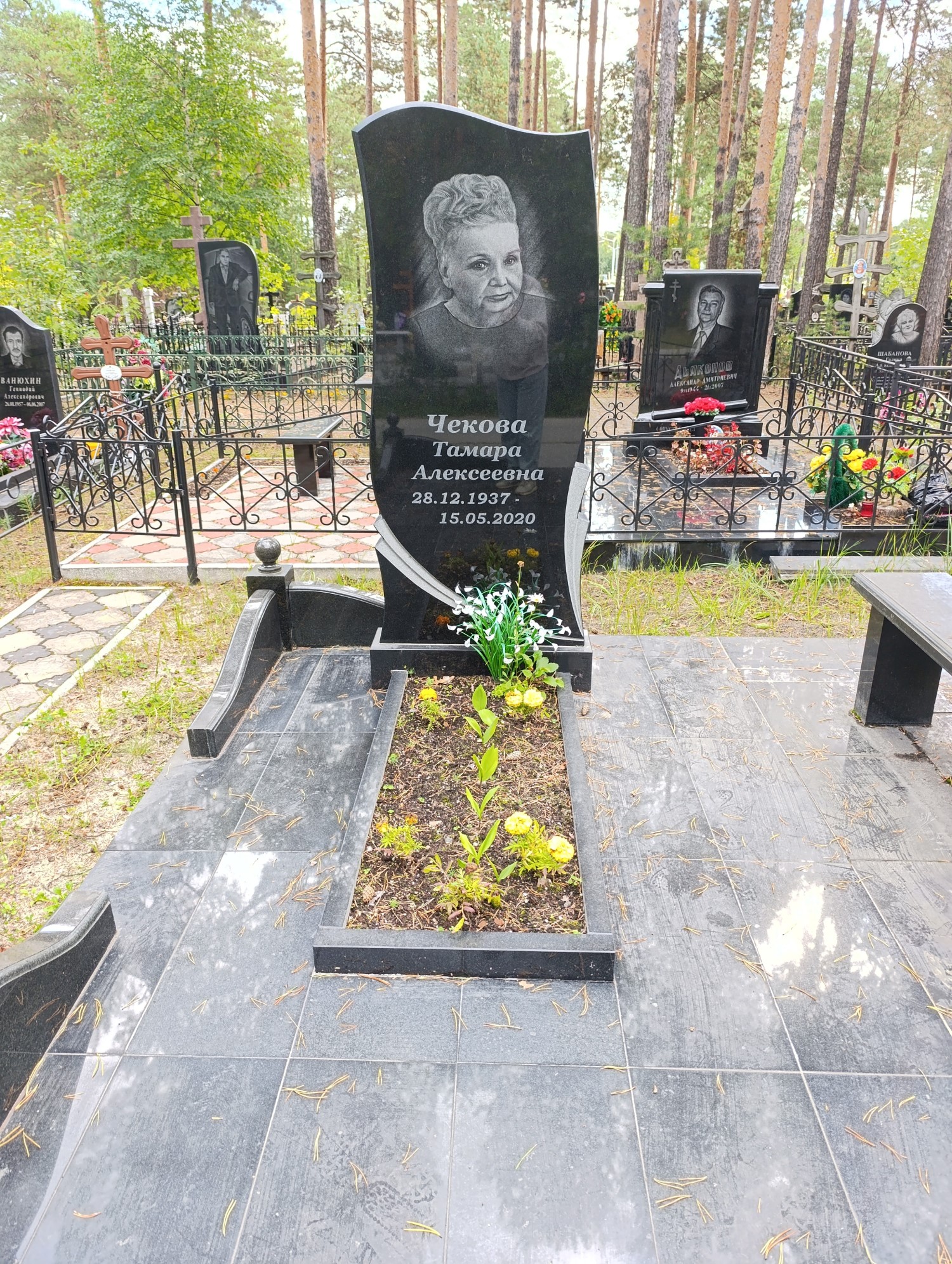 Чекова Тамара Алексеевна