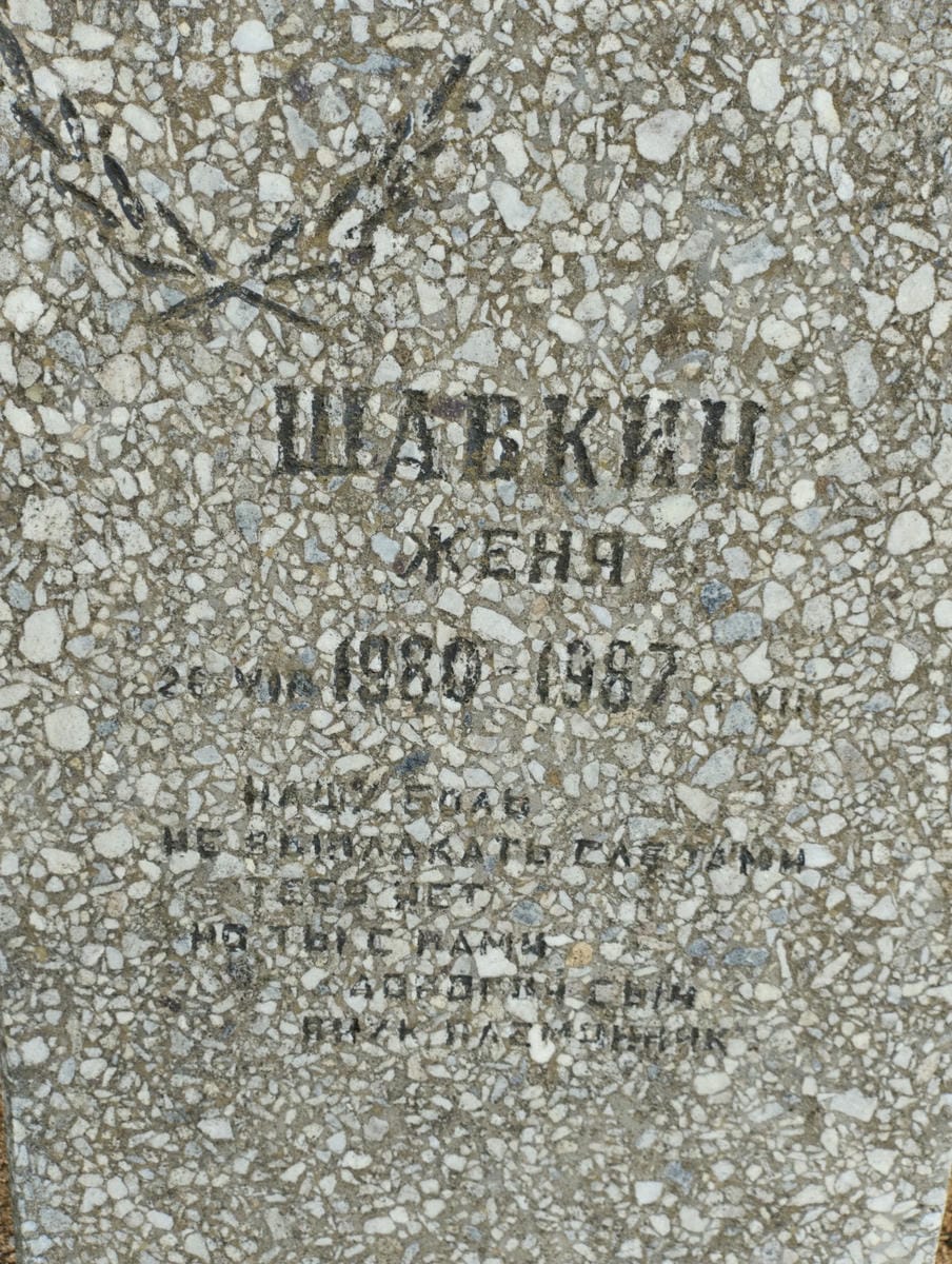 Шавкин Женя