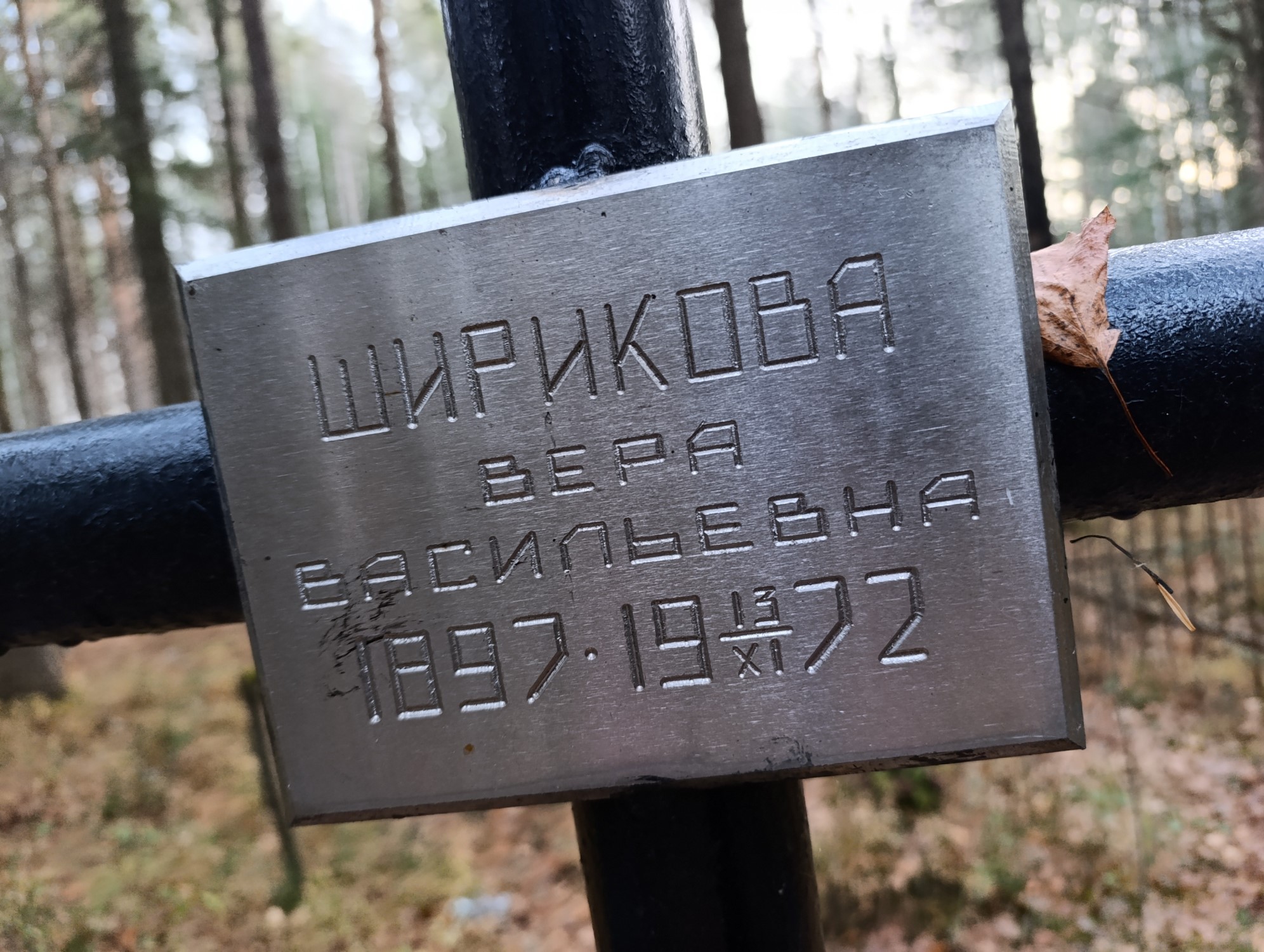 Ширикова Вера Васильевна