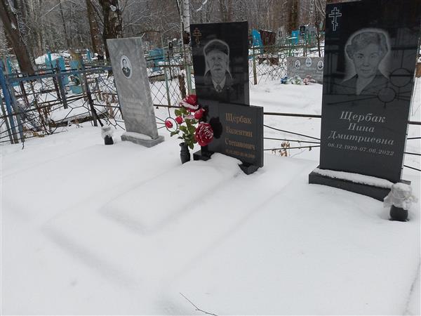 Щербак Валентин Степанович