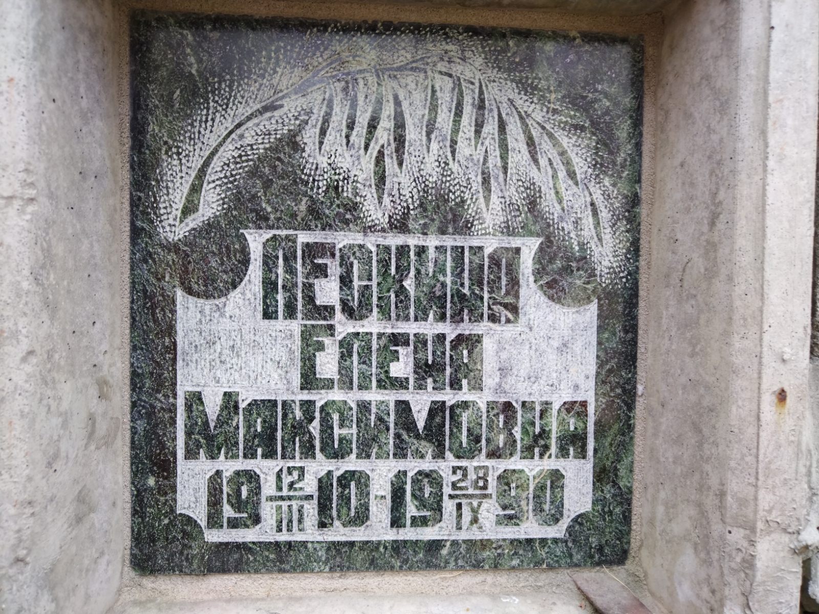 Лескина Елена Максимовна