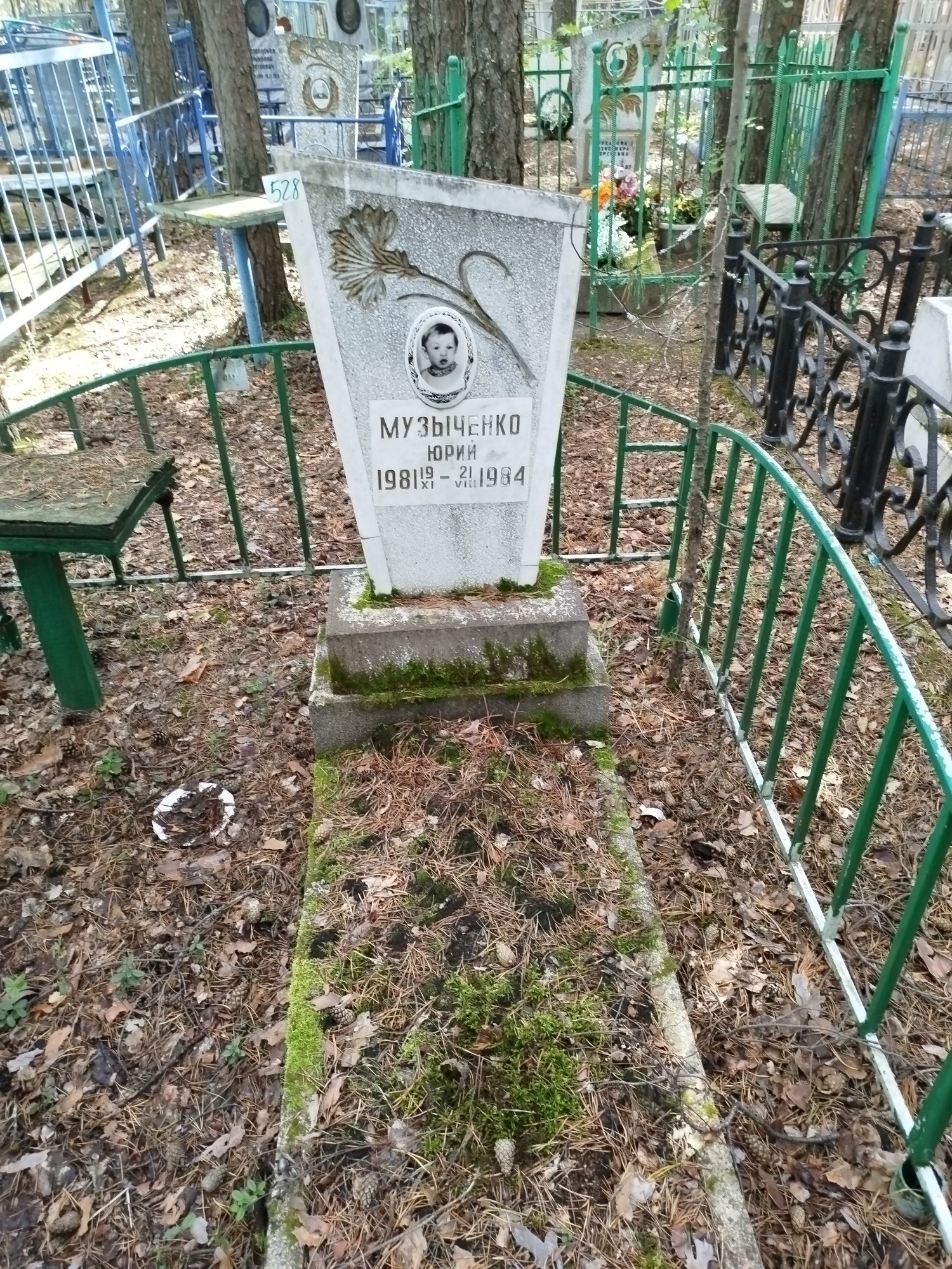 Музыченко Юрий