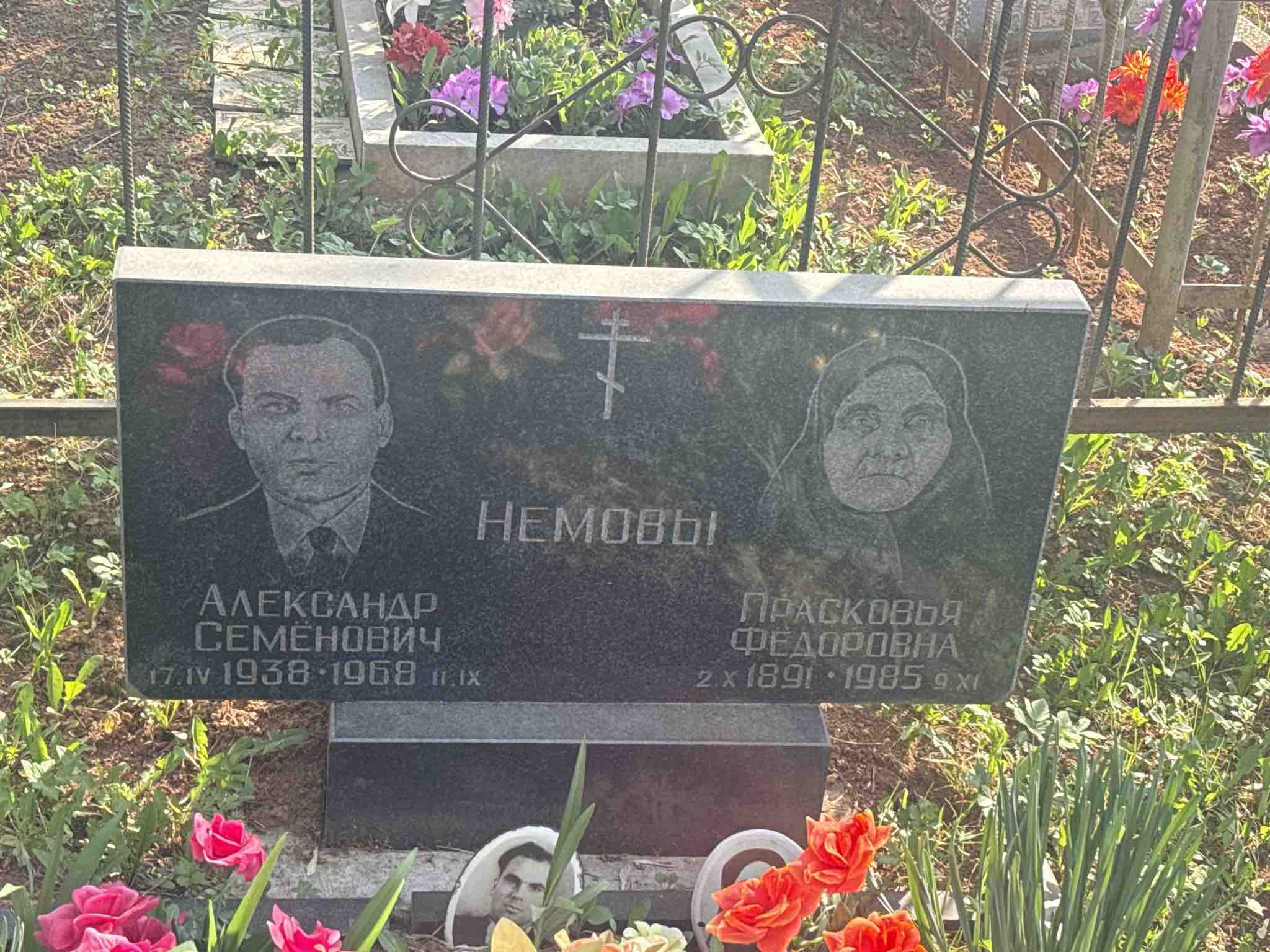 Немов Александр Семенович
