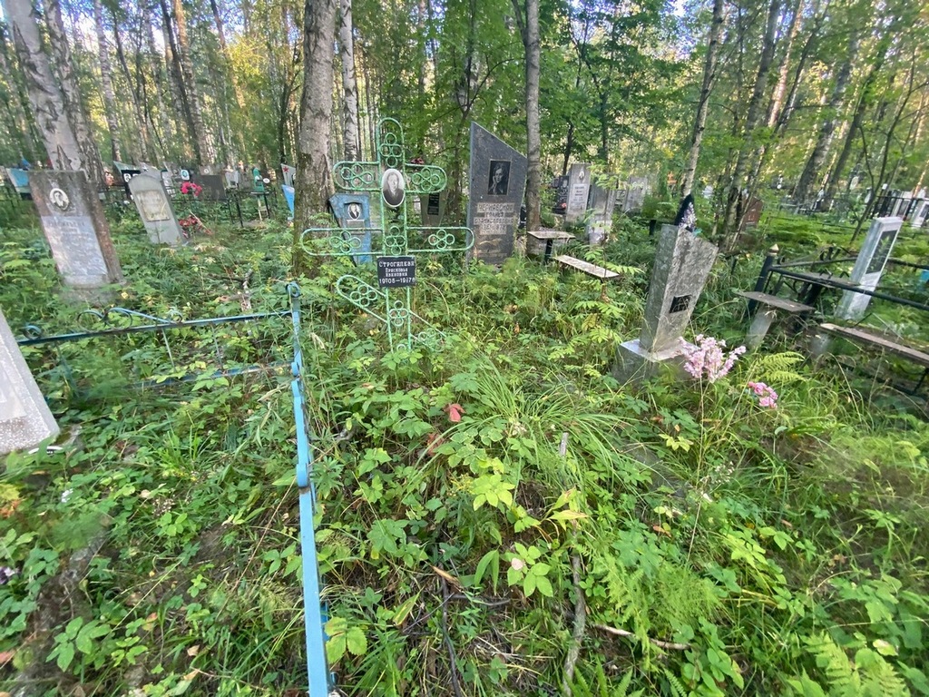 Строгалева Прасковья Ивановна