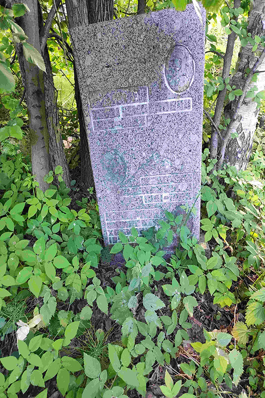 Комарова Фаина Хаимовна