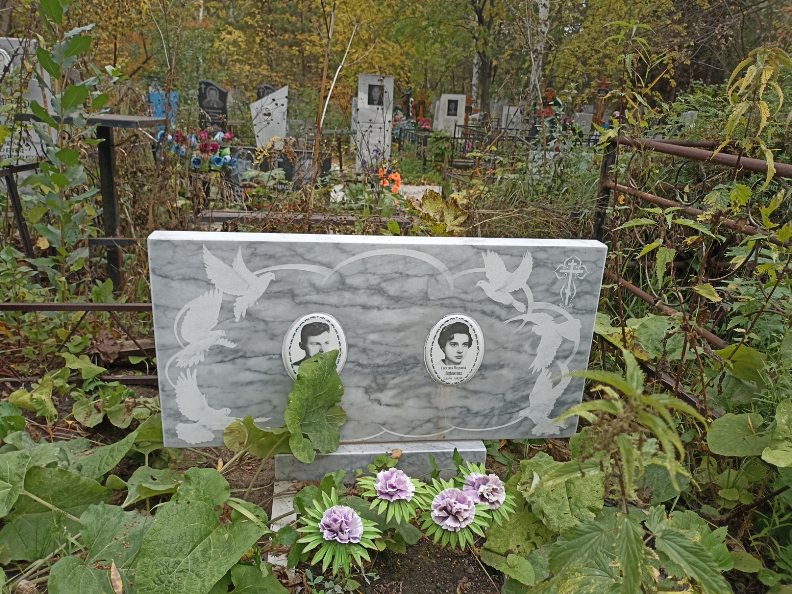 Лифонтова Светлана Петровна