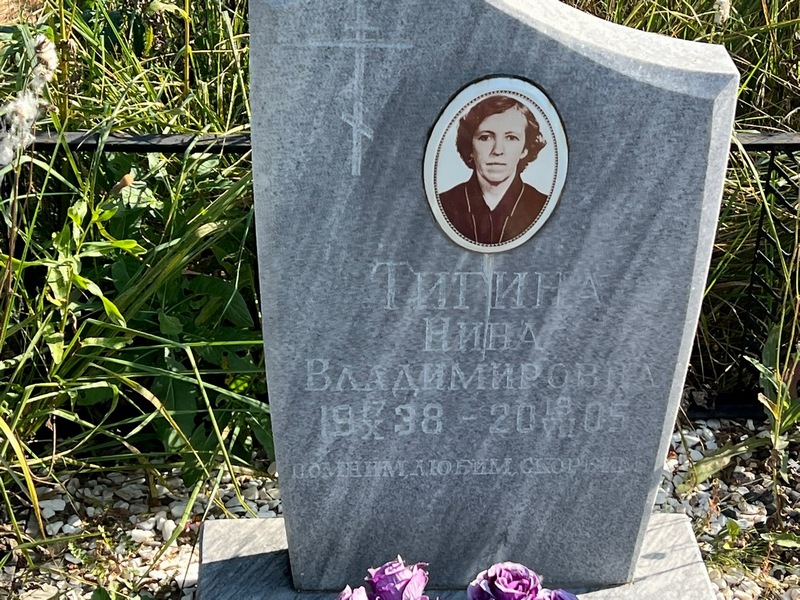 Тигина