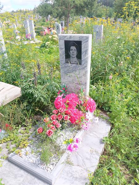 Панин Николай Архипович