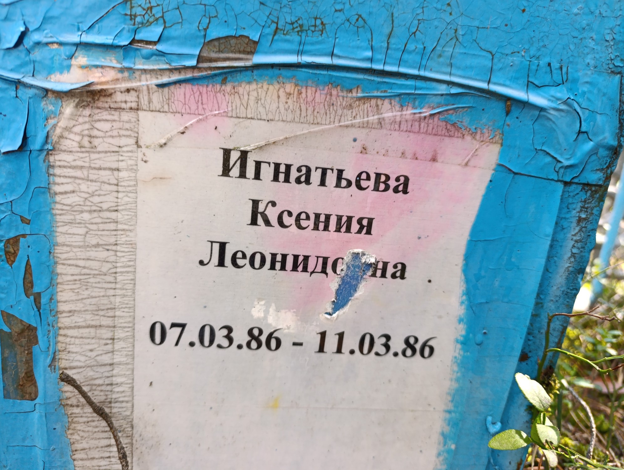 Игнатьева Ксения Леонидовна