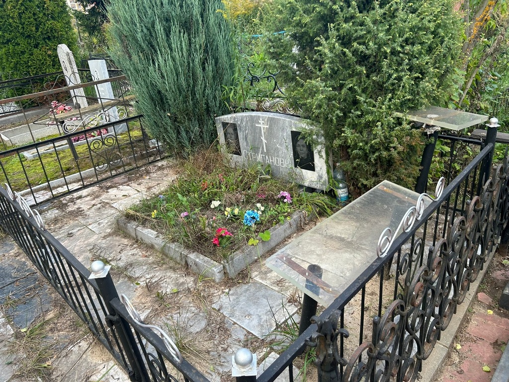 Стриганова Софья Николаевна