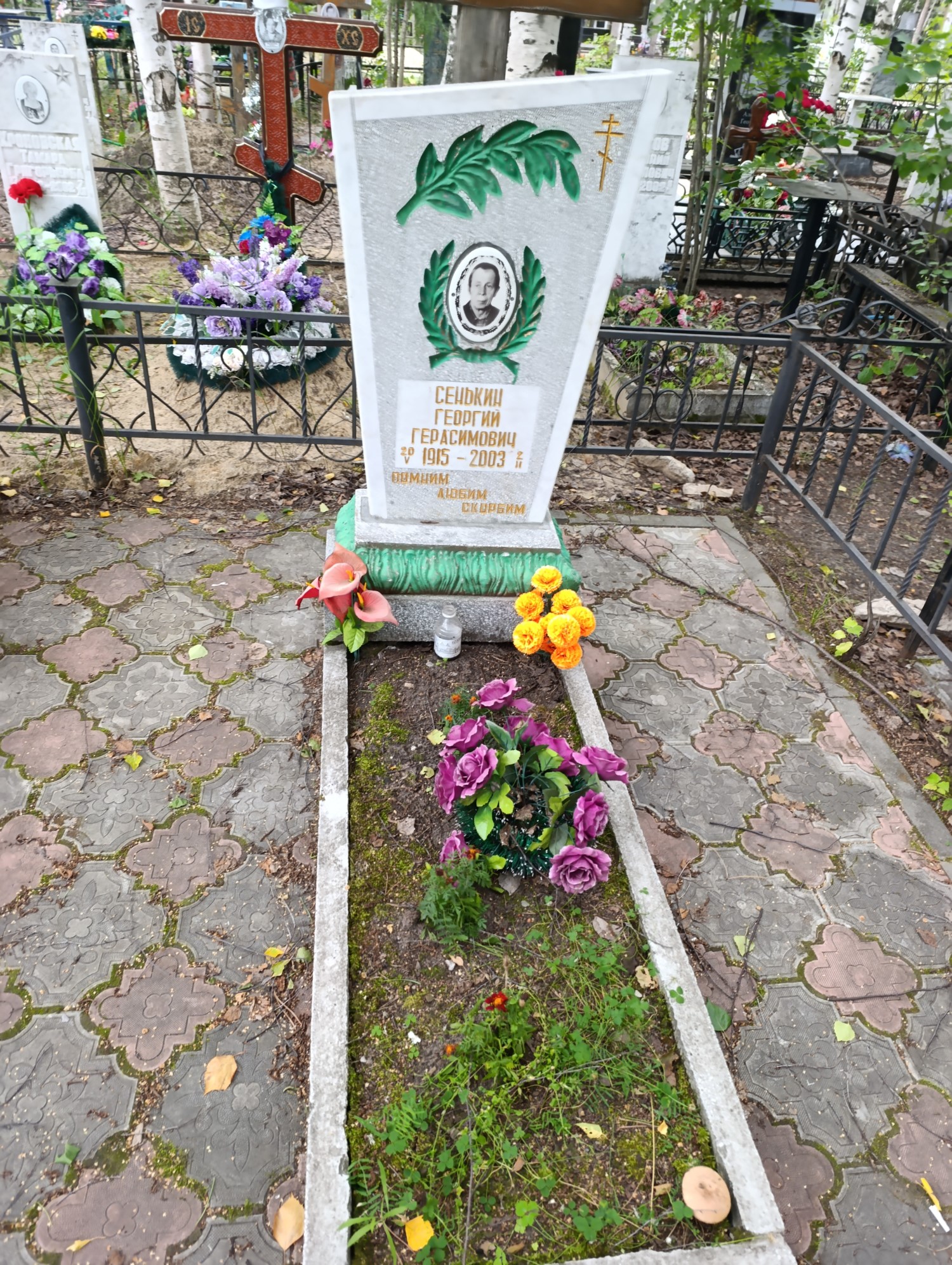 Сенькин Георгий Герасимович