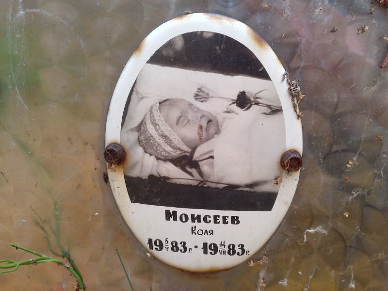 Коля Моисеев