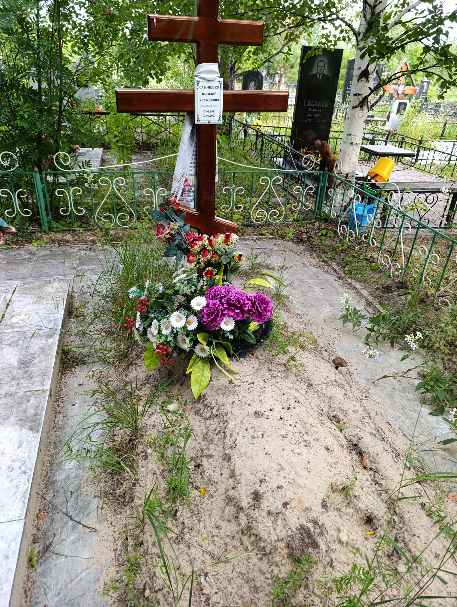 Сазоненко Василий Алексеевич