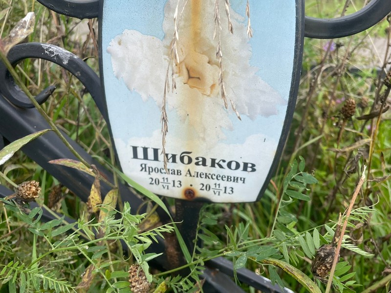 Ярослав Шибаков Алексеевич