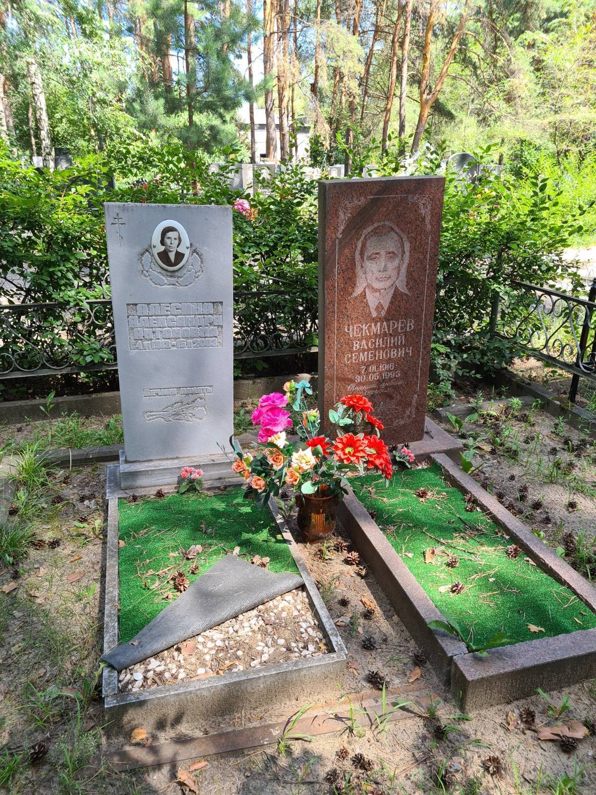 Алесина Александра Антоновна