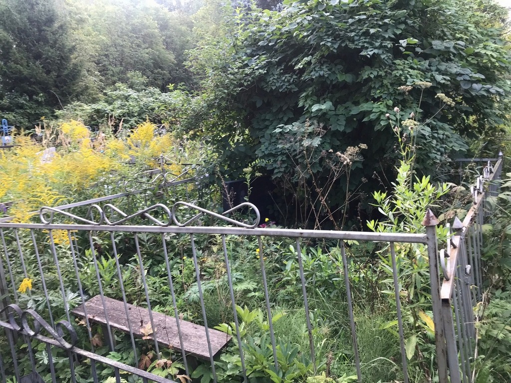 Ротная Анна Евгеньевна