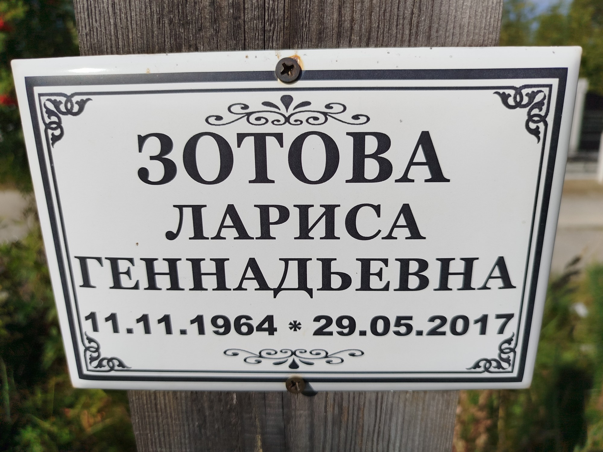 Зотова Лариса Геннадьевна
