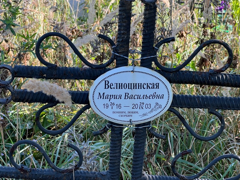Велиоцинская