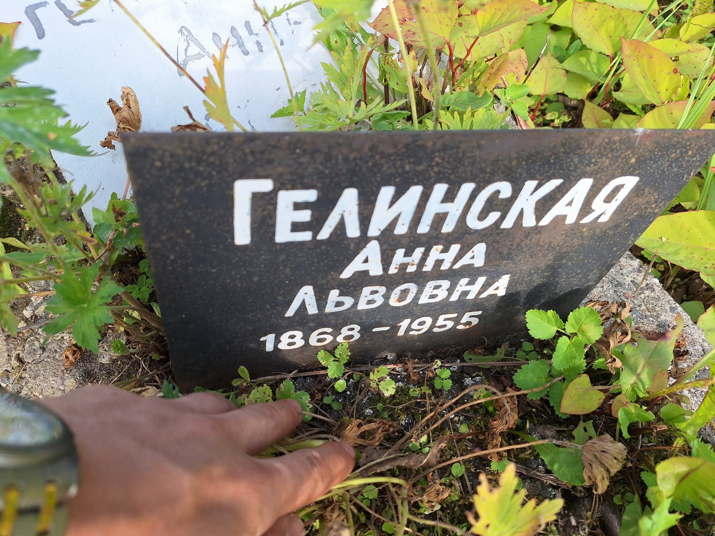 Гелинская