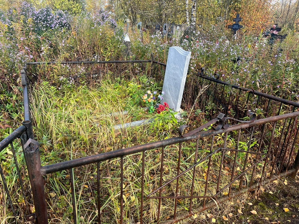 Бармина Альбина Сергеевна