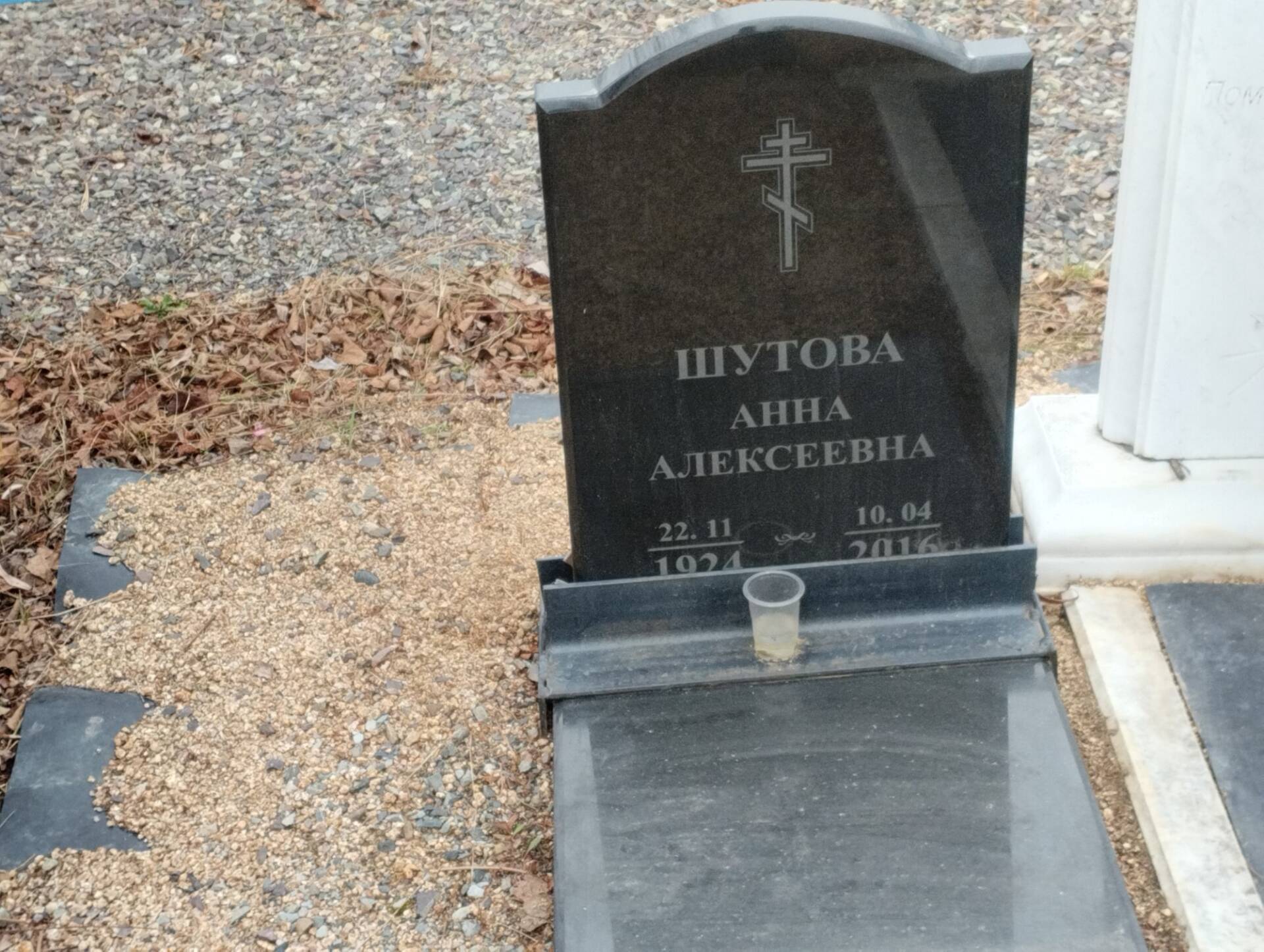 Шутова Анна Алексеевна