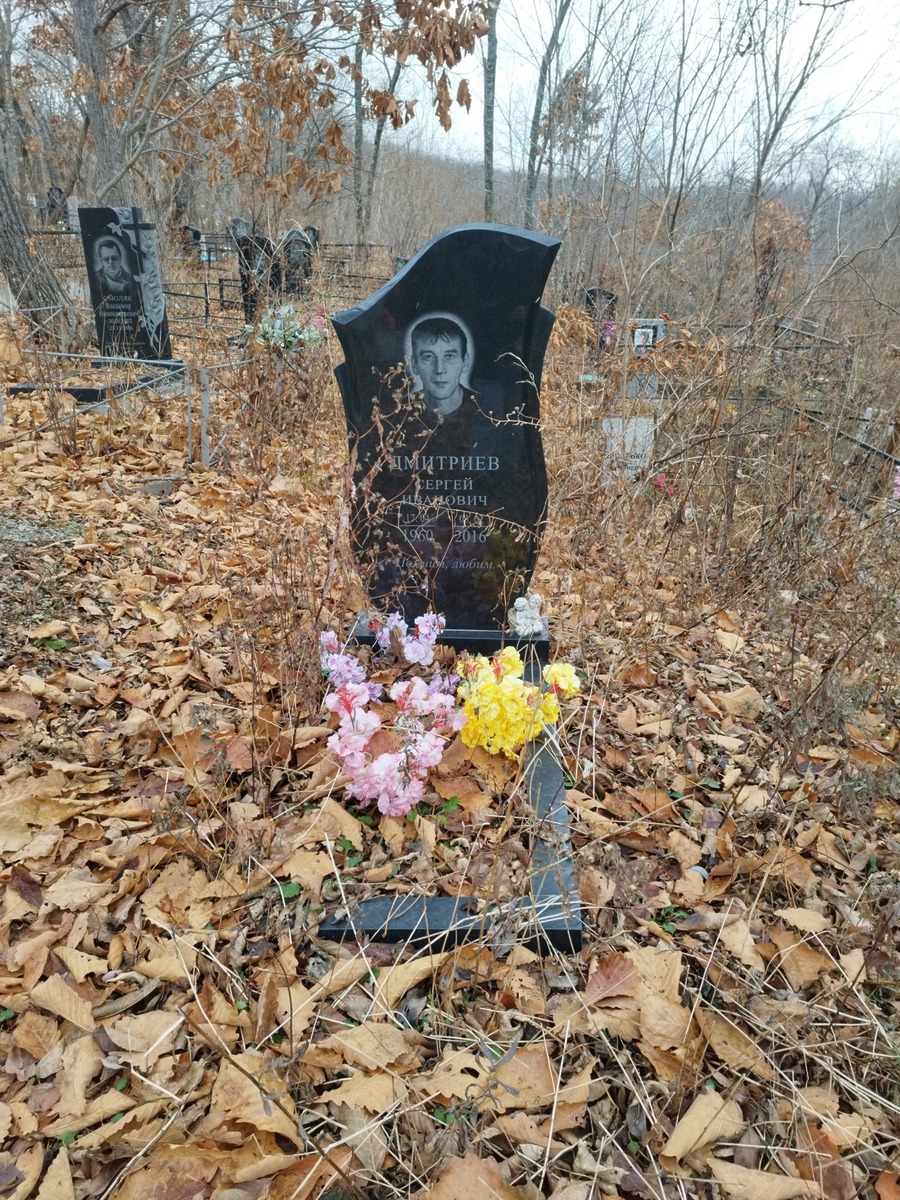 Дмитриев Сергей Иванович