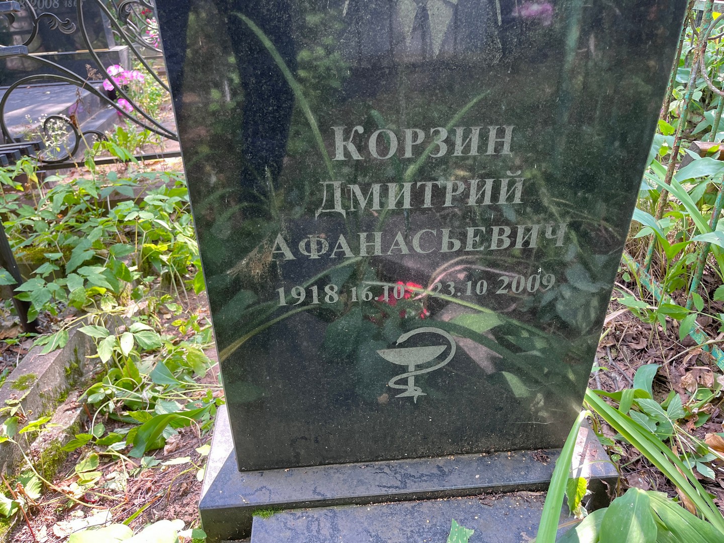 Корзин