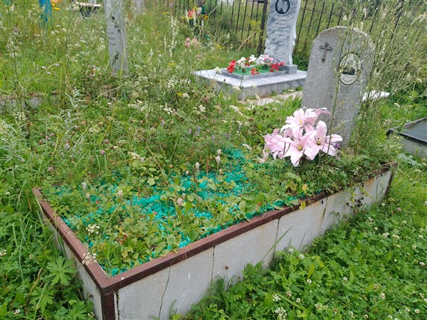 Селянкина Лидия Михайловна