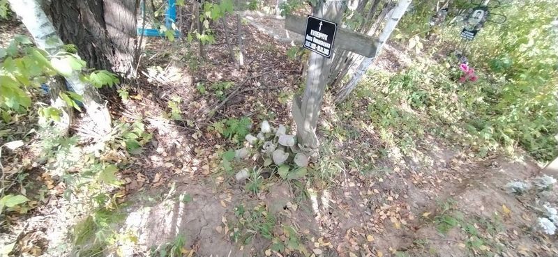 Куленчук Анна Николаевна