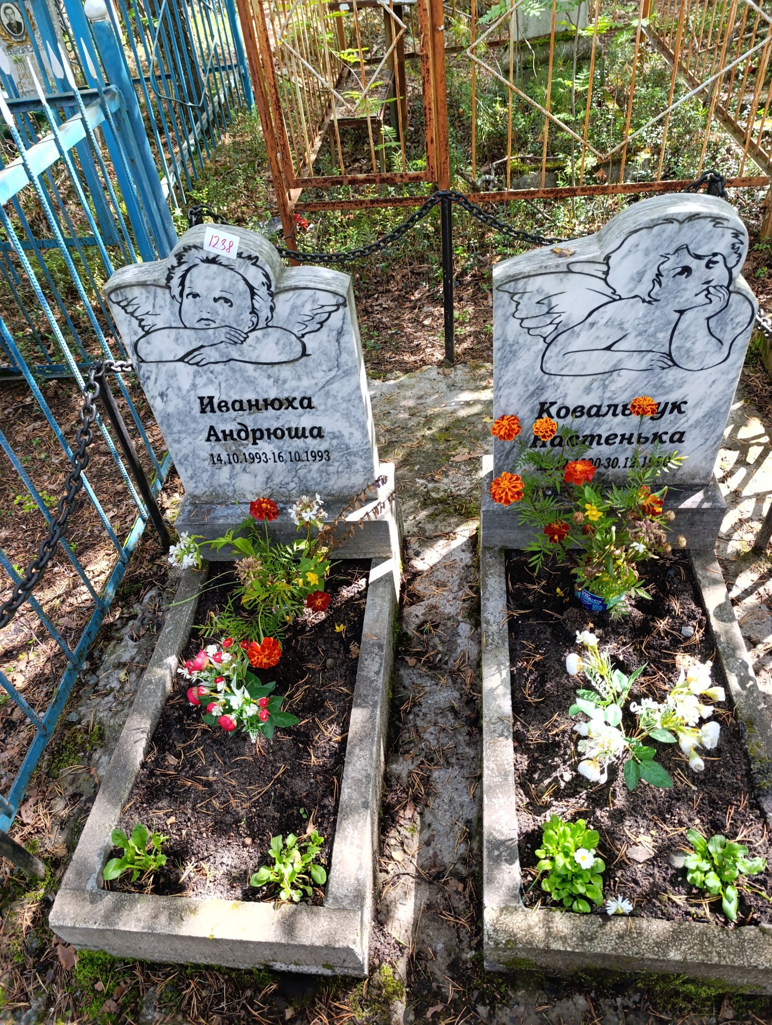Ковальчук Анастасия