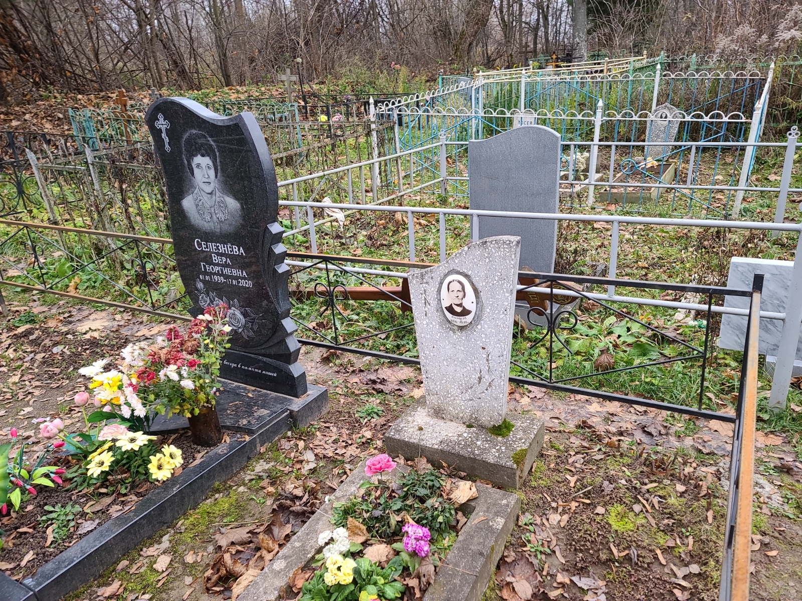 Селезнева Вера Георгиевна
