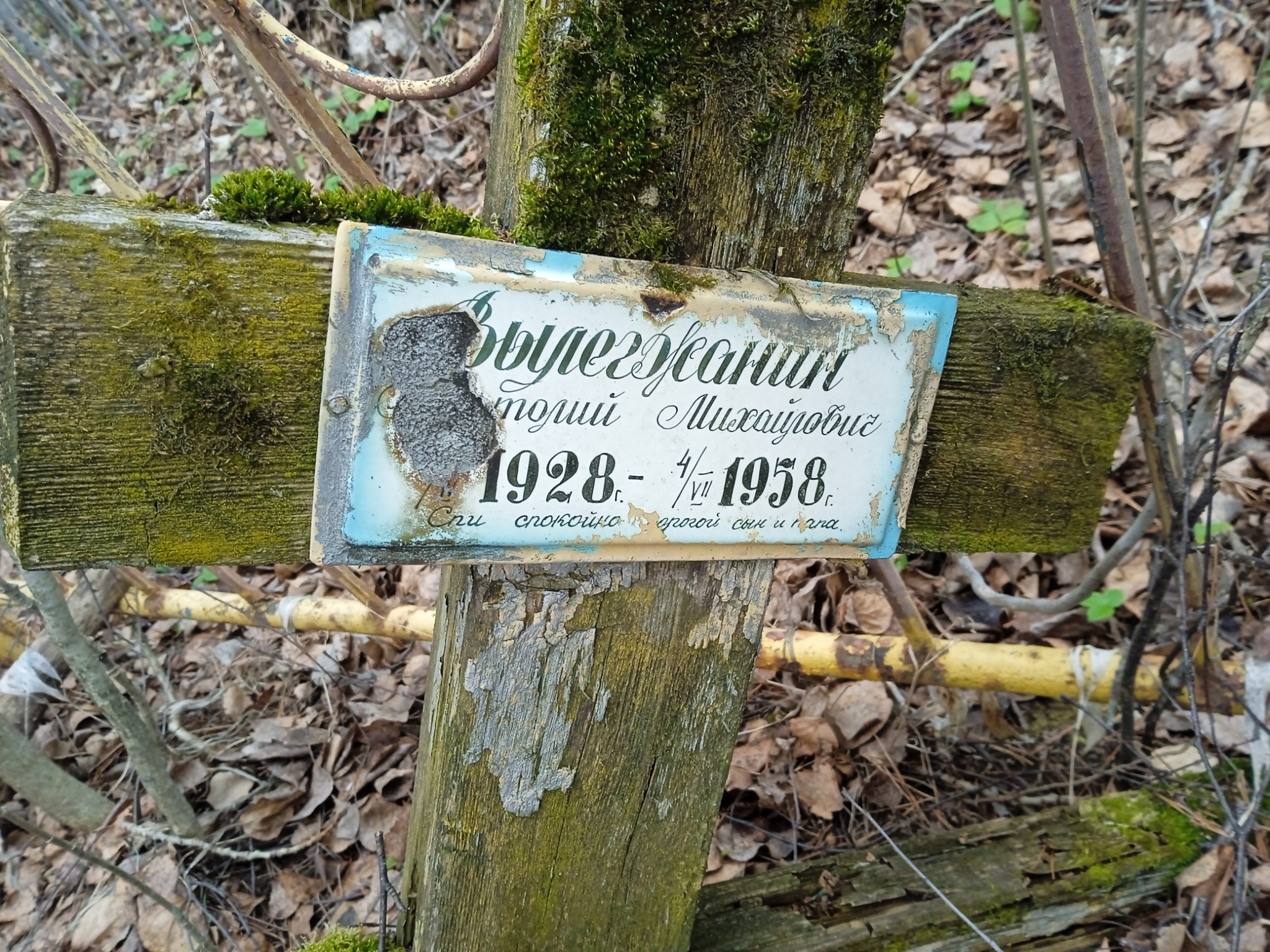 Вылегжанин Анатолий Михайлович