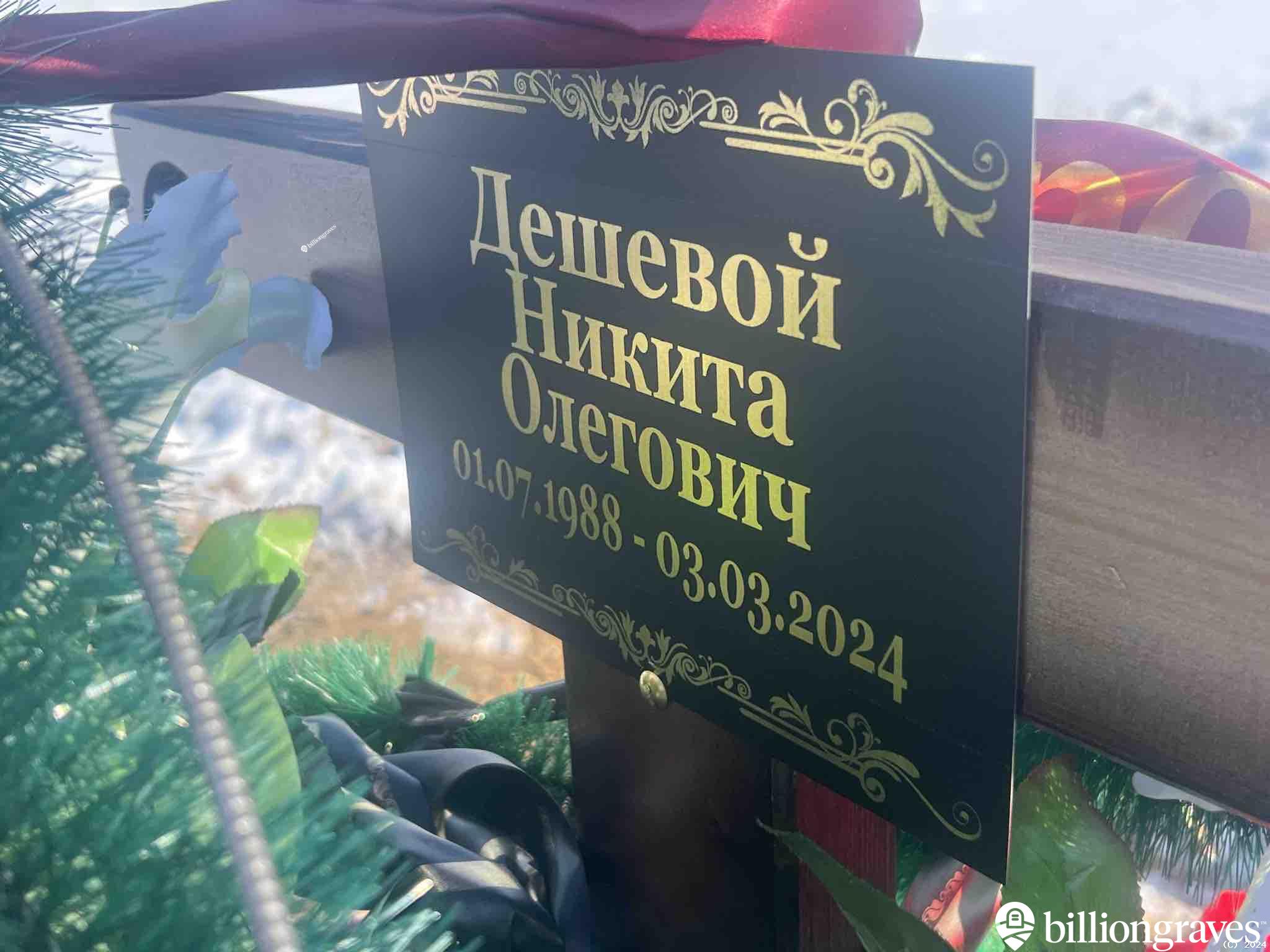 Дешевой Никита Олегович